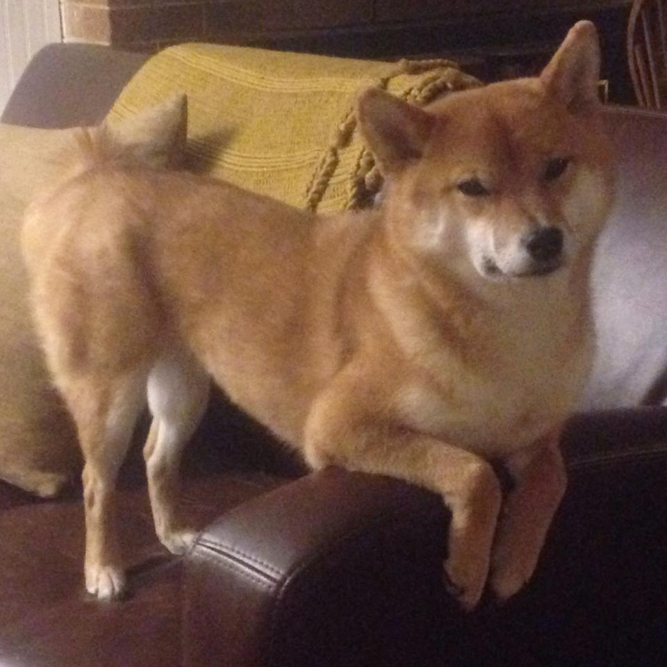 LEYU乐鱼体育官方网站-_世界青年网球论坛：未来运动发展的风向标_，网球近年发展趋势-LEYU乐鱼体育官方网站