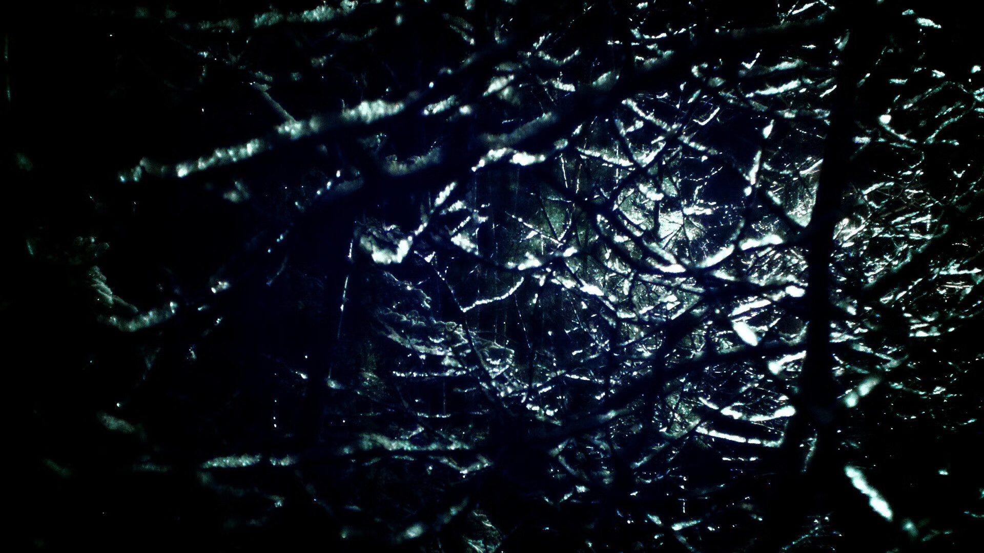 “中国女足备战世界杯,青年队员崭露头角”,中国女足世界杯亚军成员