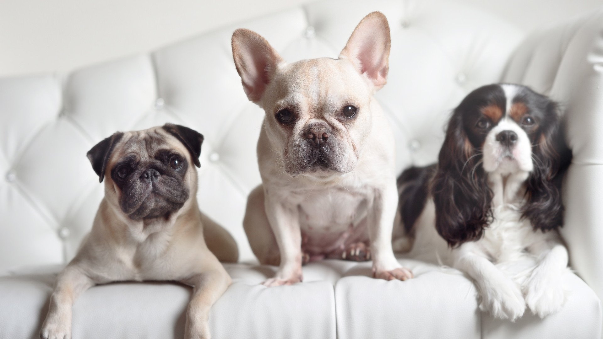 史上最炫目的“长距离远射”瞬间,距离长短还是远近