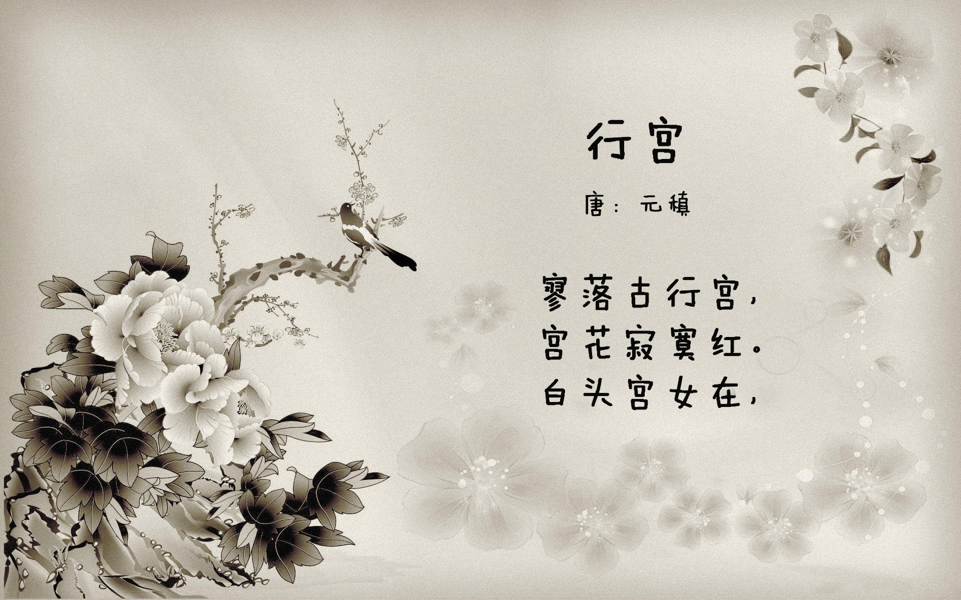 失误频繁:上海队多达20次失误,错失最后反超机会!,上海队比赛视频