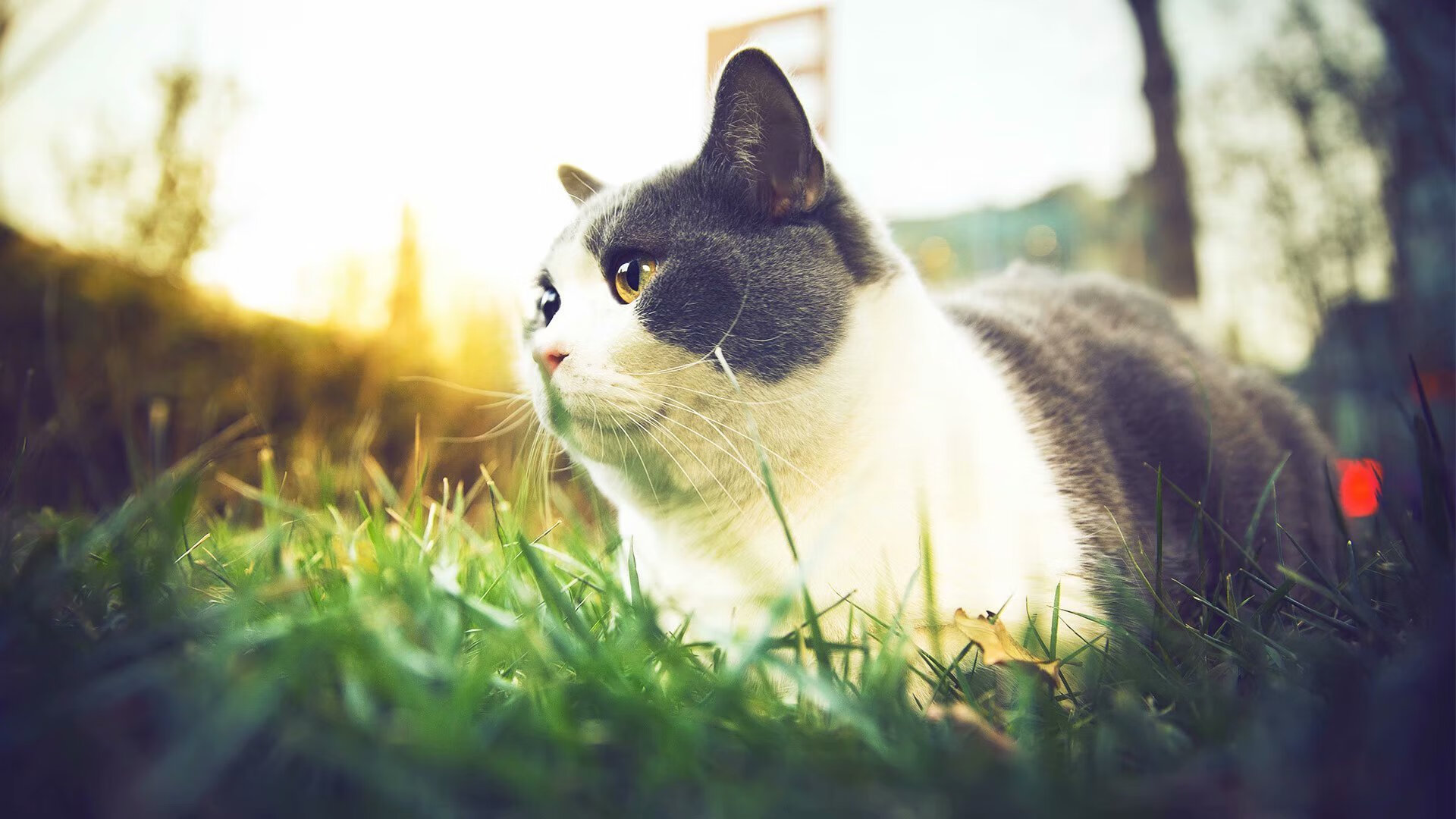 北京人和客场战平山东鲁能,难分胜负,北京人和球员去哪了