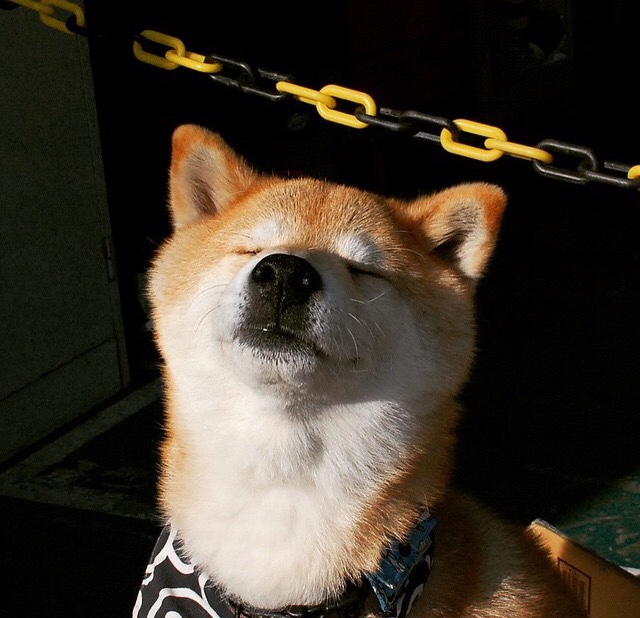 多特蒙德足球俱乐部继续保持领先优势,多特蒙德足球俱乐部是哪个国家的