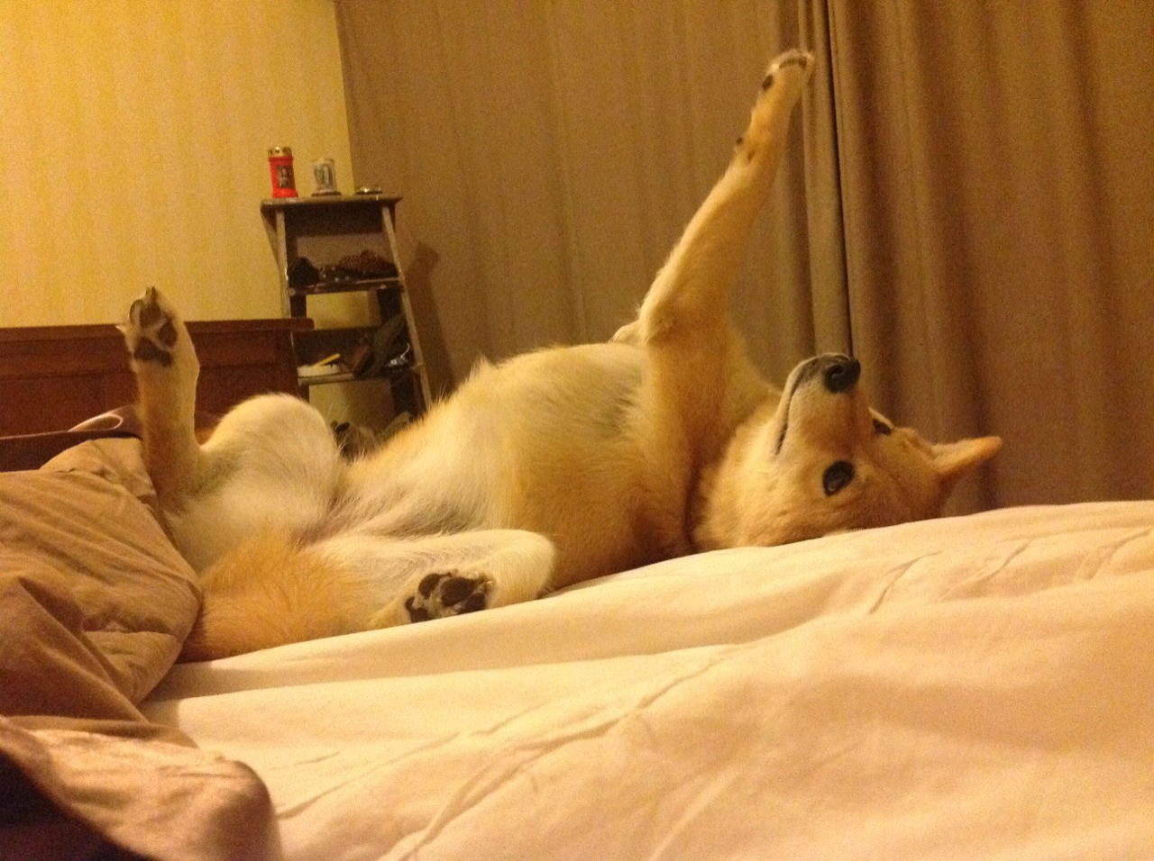 河床防守端表现稳固,河床防守端表现稳固的原因