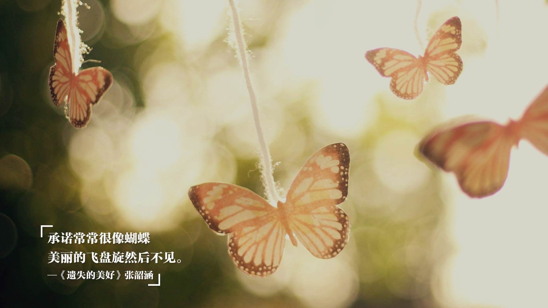 乐鱼体育登录-罗马是否能依靠穆里尼奥实现联赛突破，罗马队穆里尼奥最新新闻-乐鱼体育登录