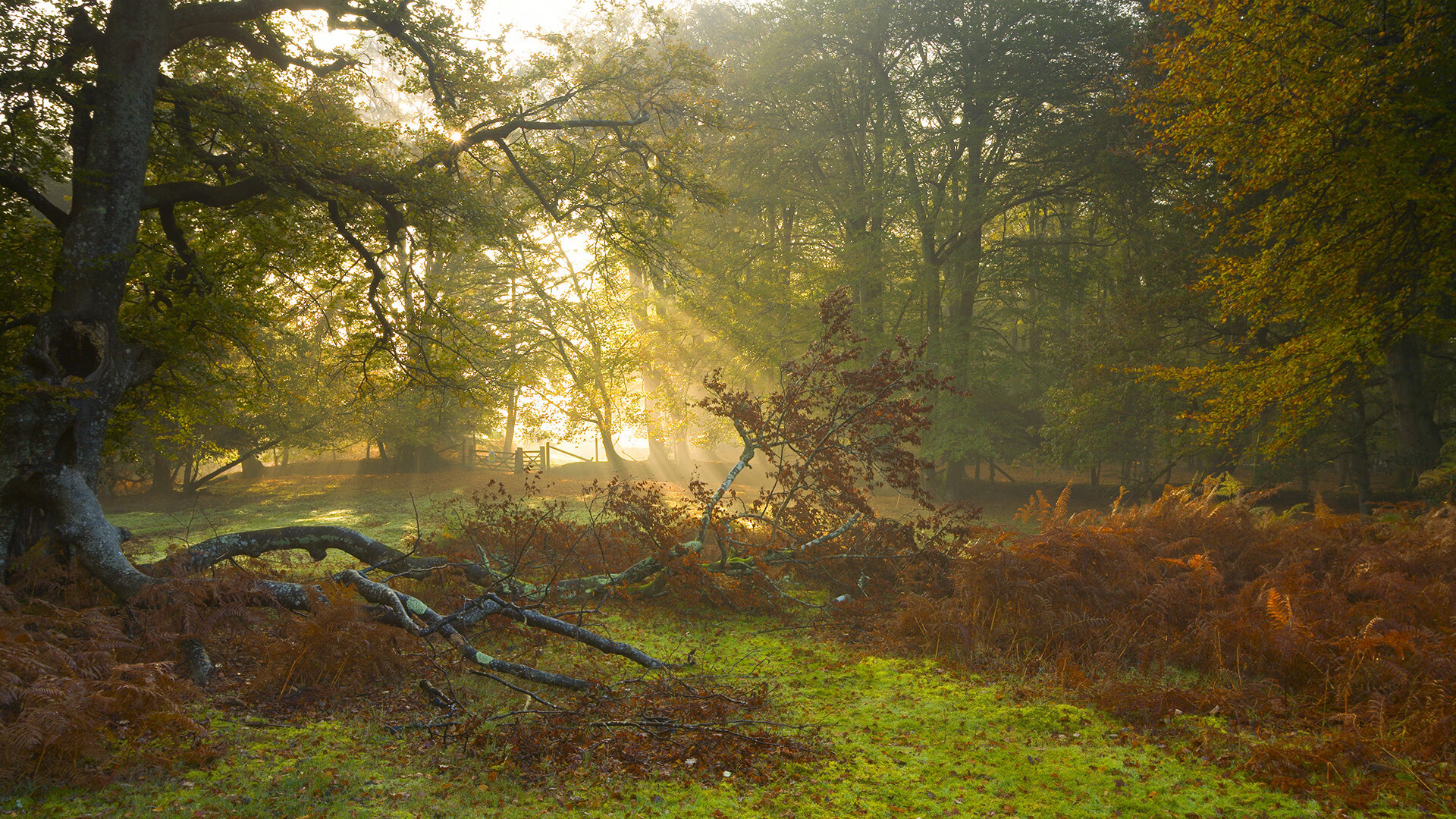 LeyuSports-雄鹿队成员争相亮相时尚杂志封面，引发话题，雄鹿队的成员有哪些-LeyuSports