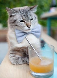 篮球专项技能动作分解训练技术研究,篮球技能动作简略说明