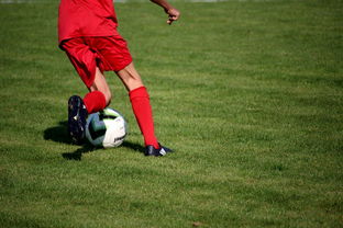 下载乐鱼体育APP-篮球运动员训练负荷智能监控系统研发及应用，基础阶段篮球训练负荷安排-下载乐鱼体育APP