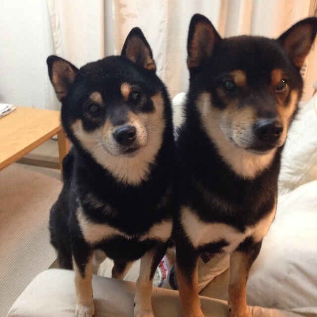 乐鱼（中国）体育官方网站-运动员康复训练技术支持，运动员康复训练技术支持方案-乐鱼（中国）体育官方网站