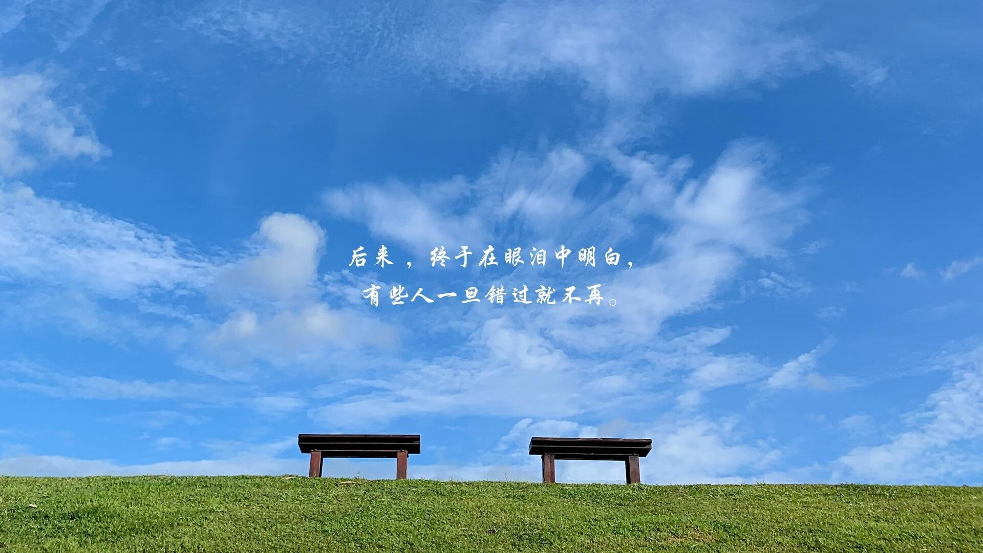 高校体育专业课程体系优化升级,高校体育专业课程体系优化升级的意义