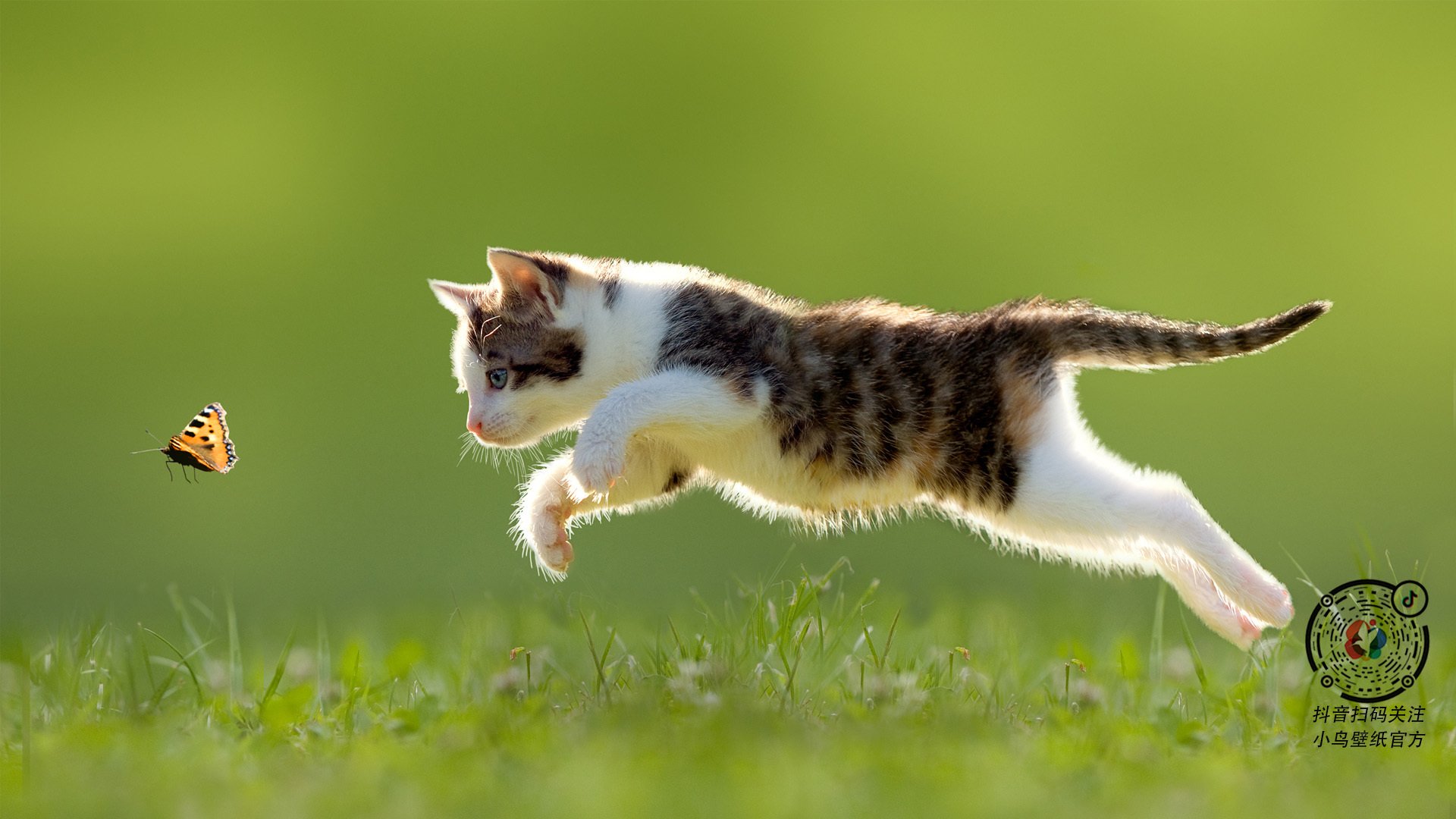 乐鱼体育-亚冠联赛中国女足晋级 球员配合默契提升，中国女足亚少赛-乐鱼体育