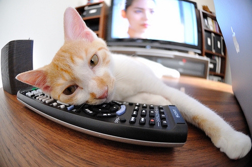 LEYU SPORTS中国官方网站-新闻中心再获科技创新荣誉，科技创新新闻稿-LEYU SPORTS中国官方网站