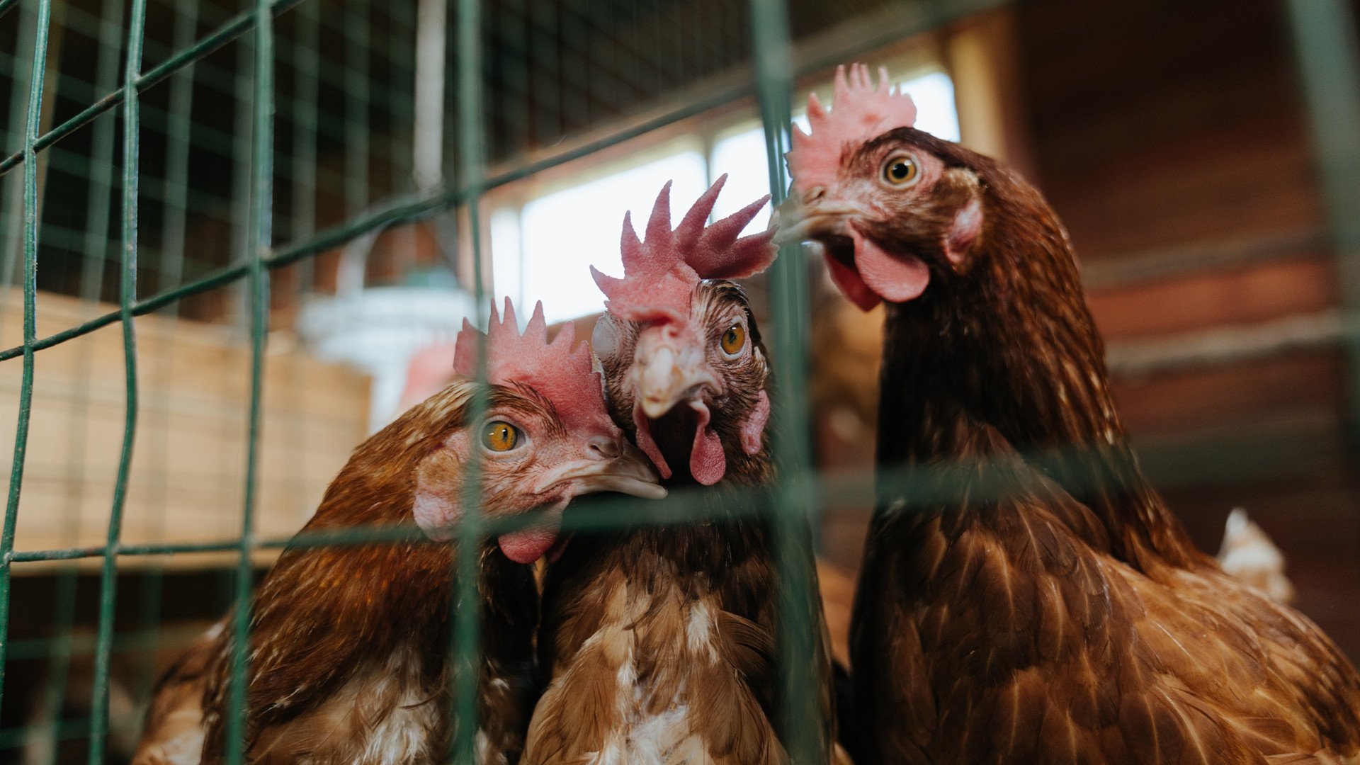 乐鱼体育App下载-球队氛围和谐，凝聚力成夺冠关键，如何增强球队凝聚力-乐鱼体育App下载