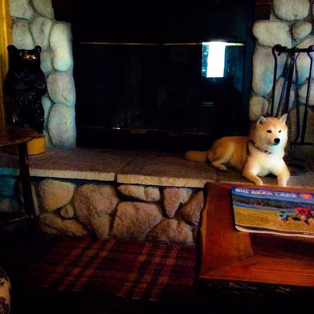 青训政策对足球发展影响,青训政策对足球发展影响分析