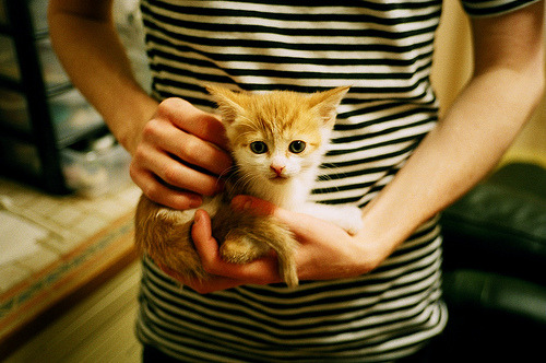 国家队实行三阶段恢复流程提升赛后状态回归效率,国家队更新时间