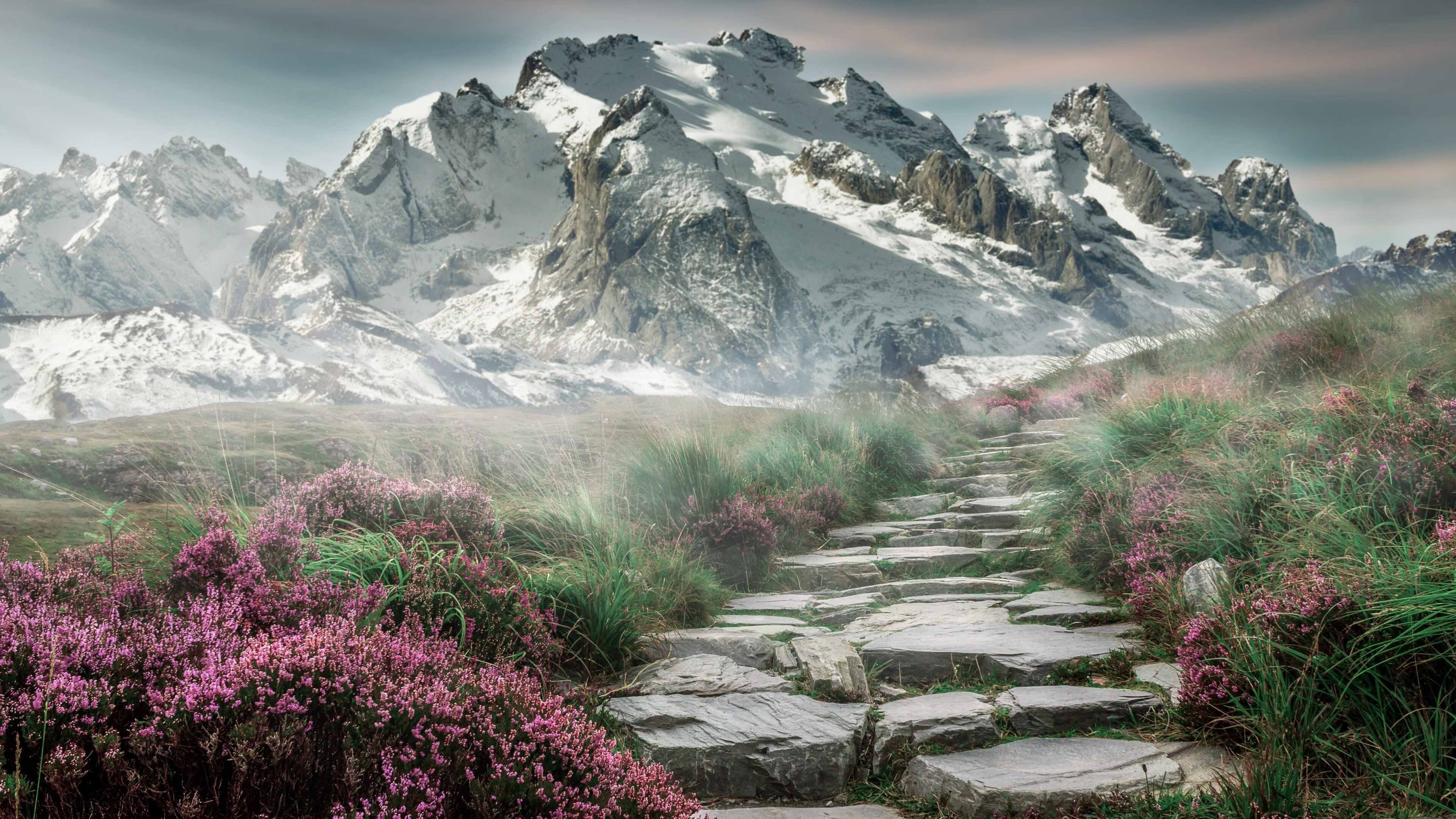 leyu乐鱼在线登录入口-欧洲杯激戰連連：战术变化带来无限精彩，欧洲杯战场-leyu乐鱼在线登录入口