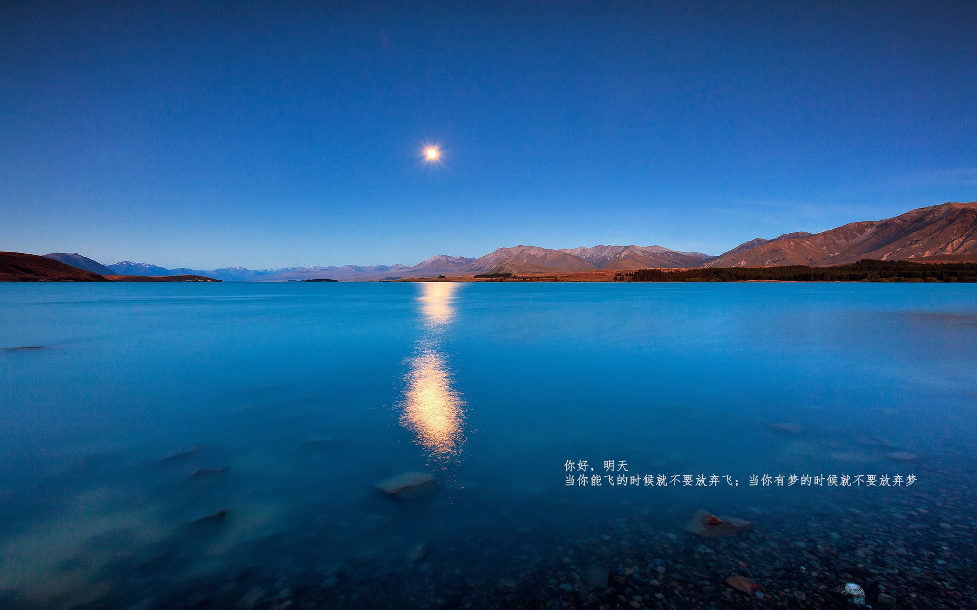 羚羊队的战术灵活性:快速转攻与防守切换是他们的制胜法宝,羚羊 zengo